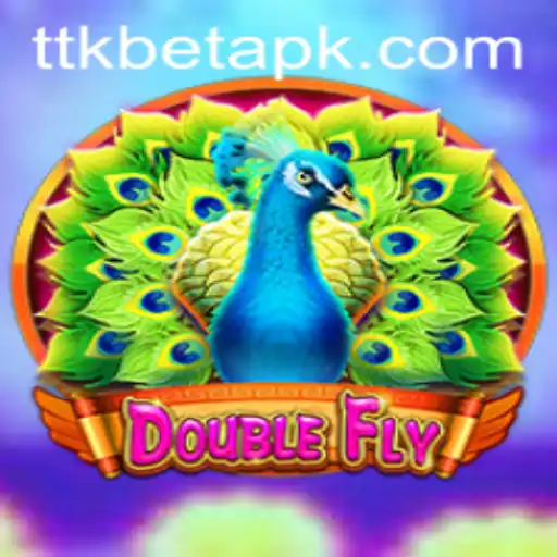Exploring the Exciting World of DoubleFly: A Deep Dive Into TTKBET's Latest Offering